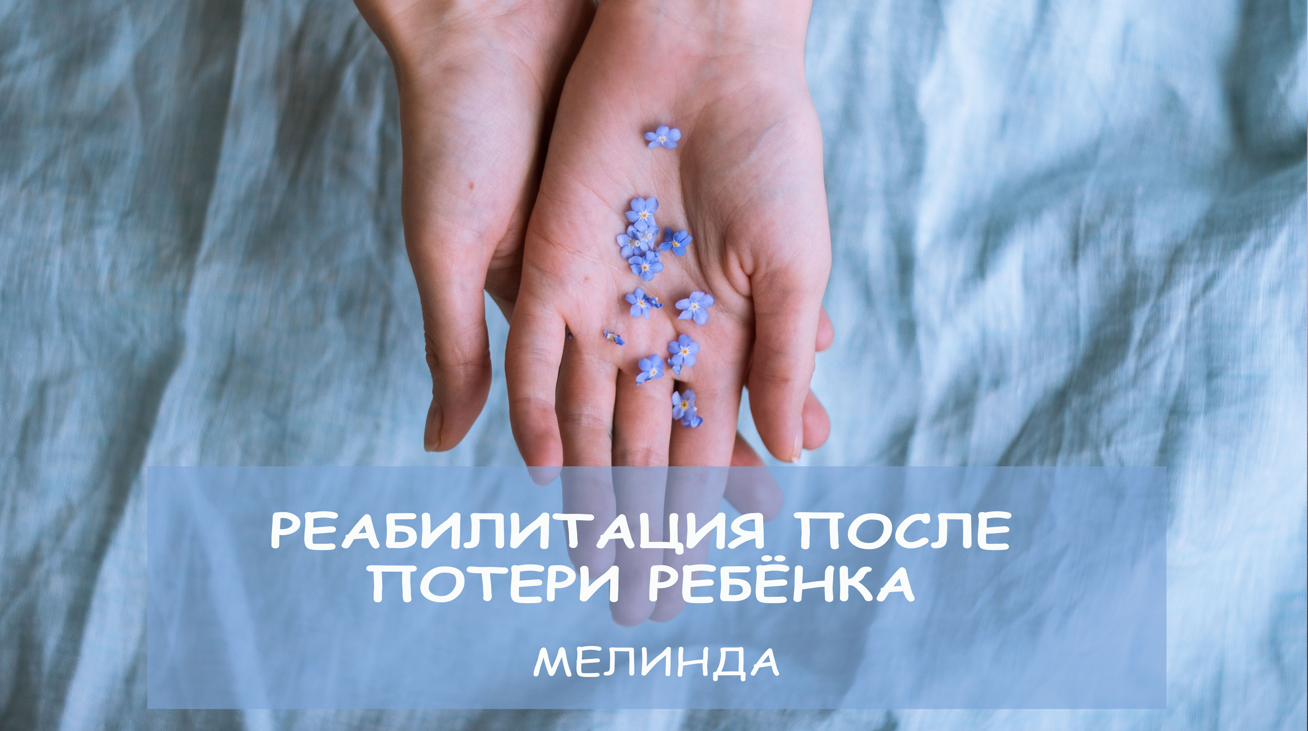 застравка курса едстон
